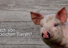 Claro Fairtrade Produkte Messe Video, Bilder und Slogans animiert
