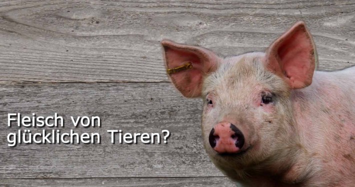 Claro Fairtrade Produkte Messe Video, Bilder und Slogans animiert