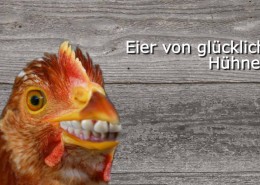 Claro Fairtrade animierte Bilder als Werbung