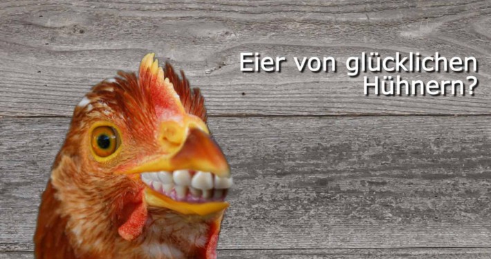 Claro Fairtrade animierte Bilder als Werbung