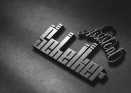 Assistent Schelker Logo kreation 3D