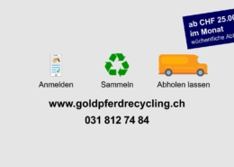 Goldpferd Werbefilm für Webseite und online Marketing Goldpferd Werbefilm für Webseite und online Marketing